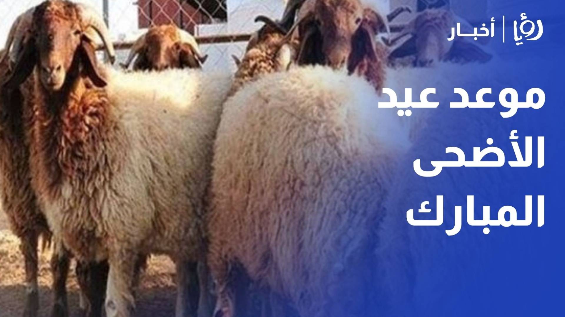 رسميا.. السعودية الاثنين غرة ذي الحجة والوقوف بعرفة يوم 26 الشهر الحالي