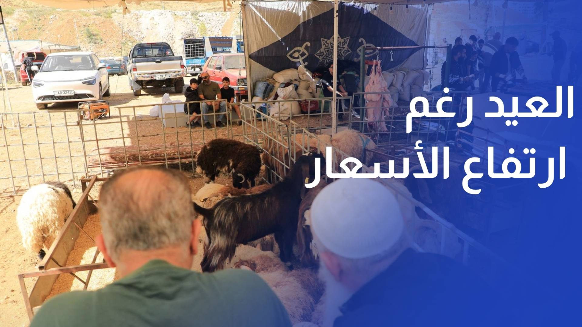 أسواق الأضاحي في اربد تنتعش في أول أيام العيد رغم ارتفاع الأسعار