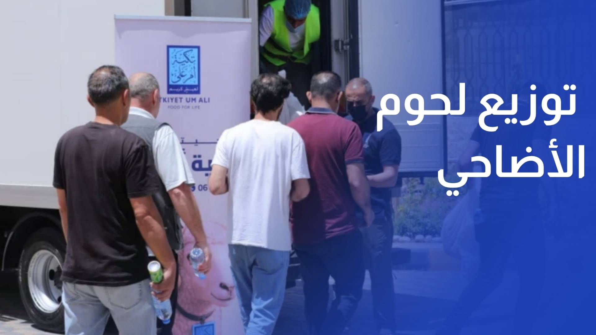 مدفوع تكية أم علي تباشر توزيع لحوم الأضاحي المحلية الطازجة على الأسر العفيفة