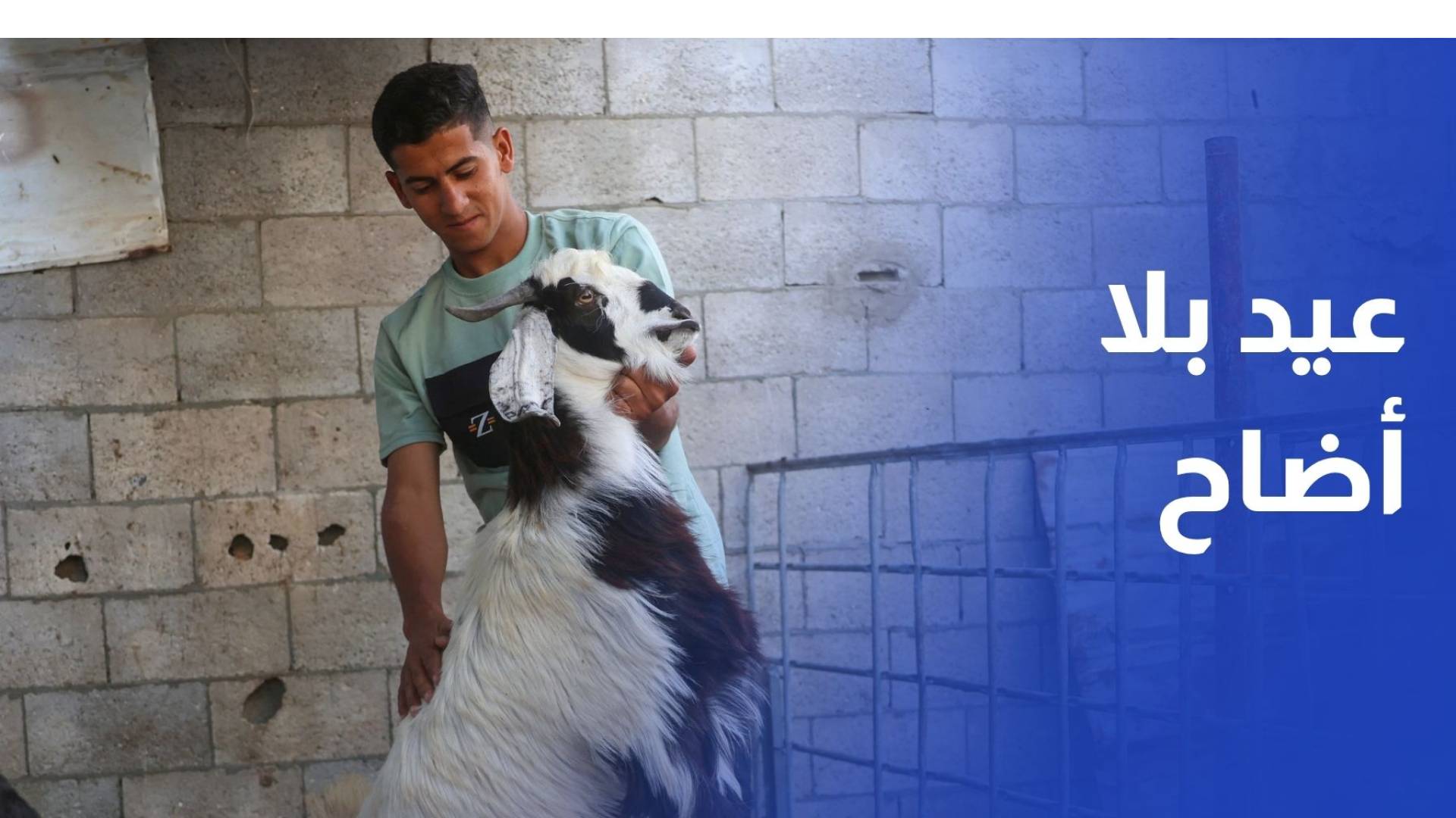 عيد بلا أضاح.. غزة تحت وطأة الحرب والغلاء