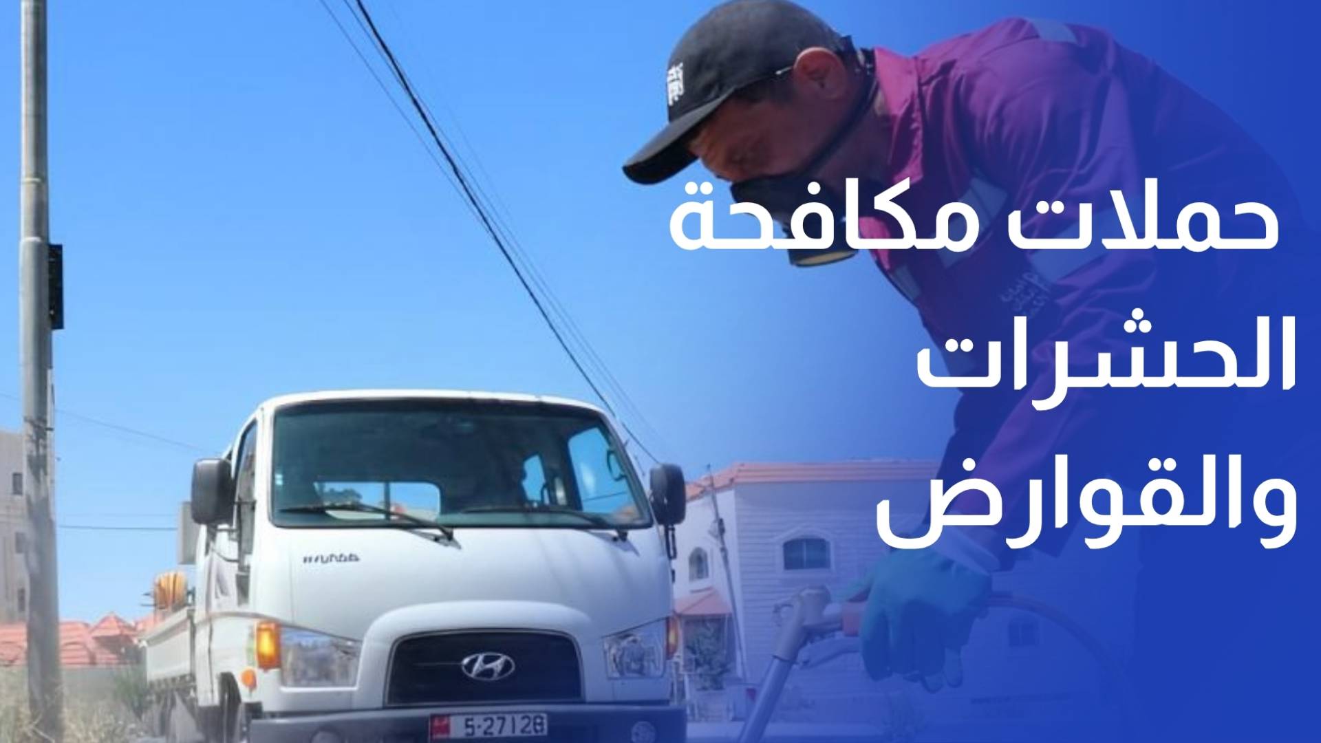 أمانة عمان تكثف حملات مكافحة الحشرات والقوارض