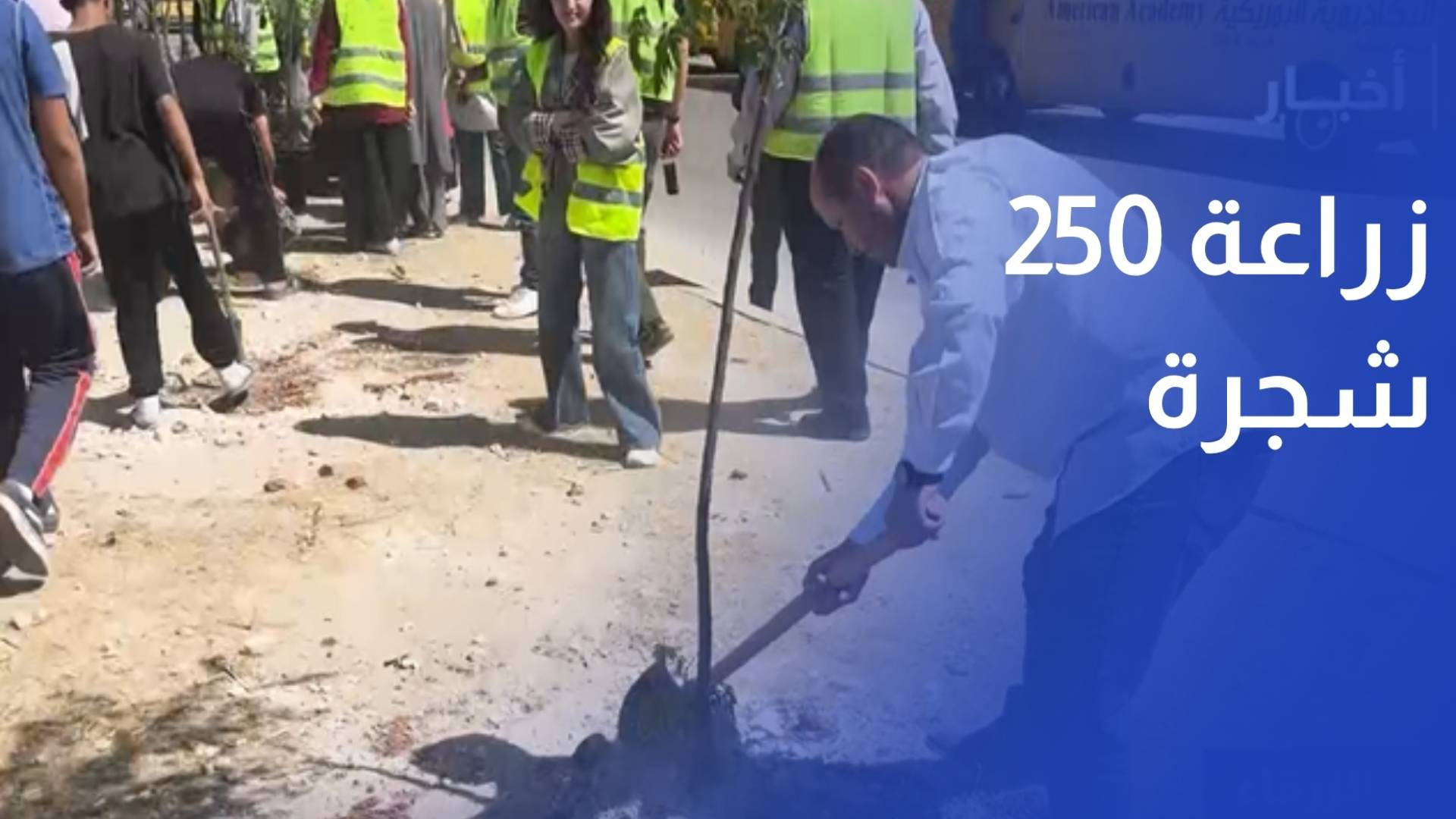 زراعة 250 شجرة على شارع السخنة – القدس عربية ضمن مبادرة اللي بحب البلد بعمرها