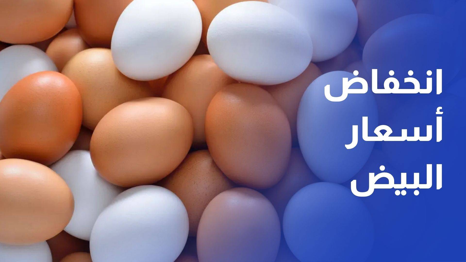 انخفاض أسعار البيض 30% بأقل من شهر وسط تغيرات العرض والطلب