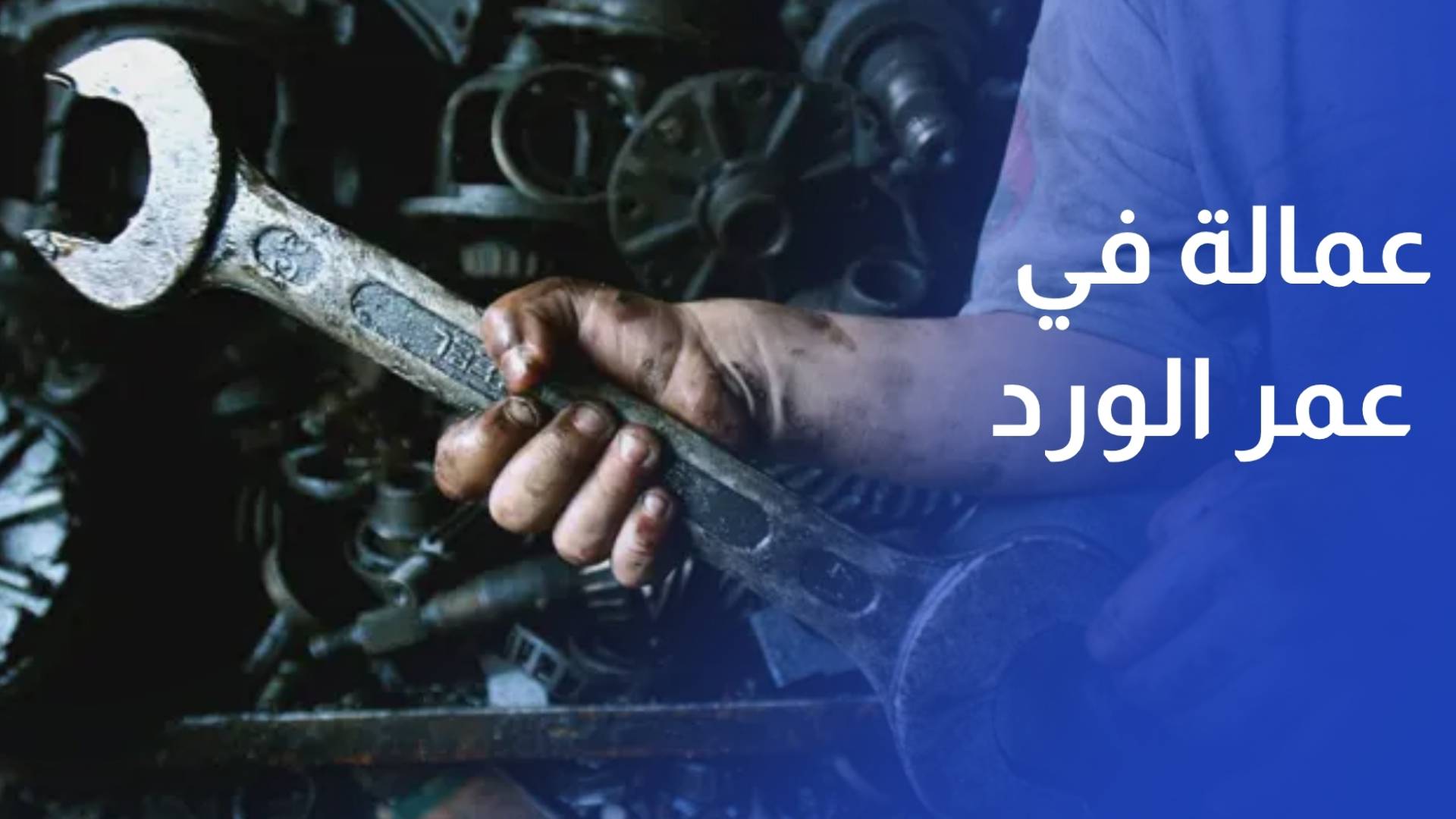 عمالة في عمر الورد