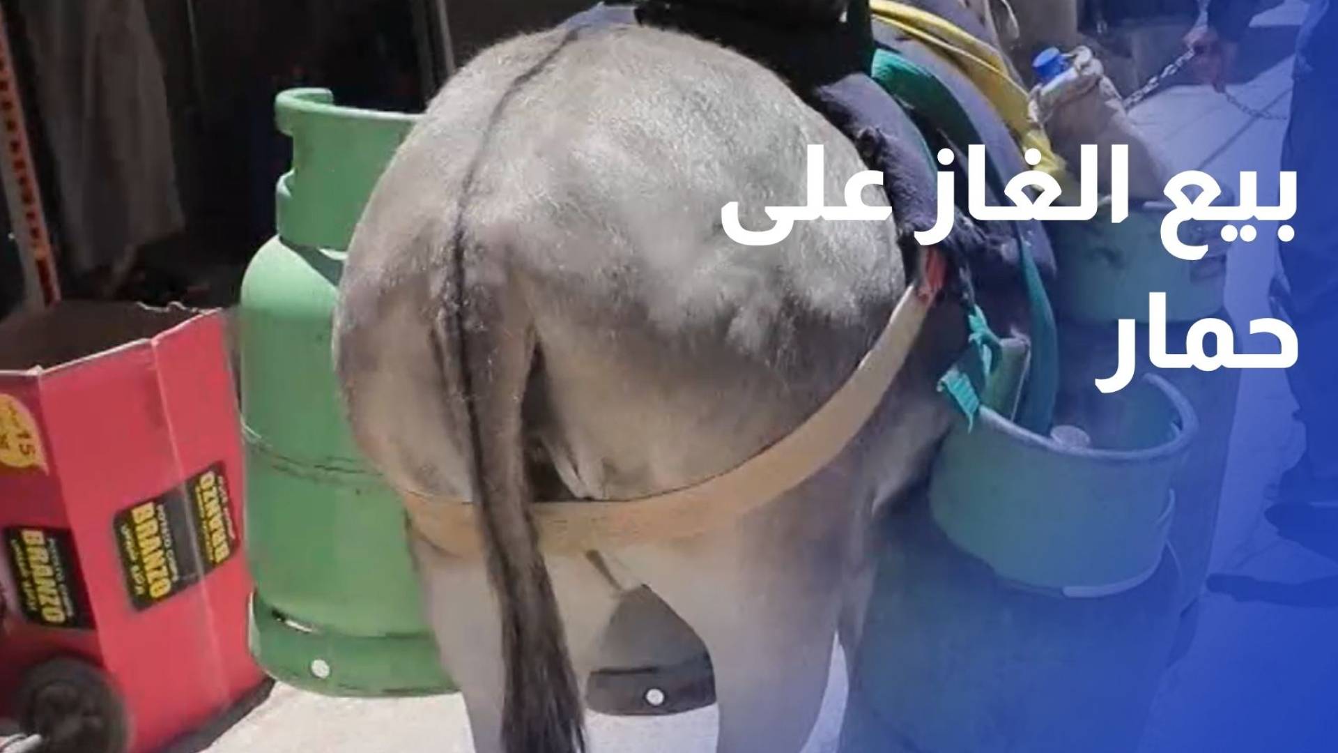 بيع الغاز على حمار.. حين تفرض الظروف المعيشية حلولا غير متوقعة