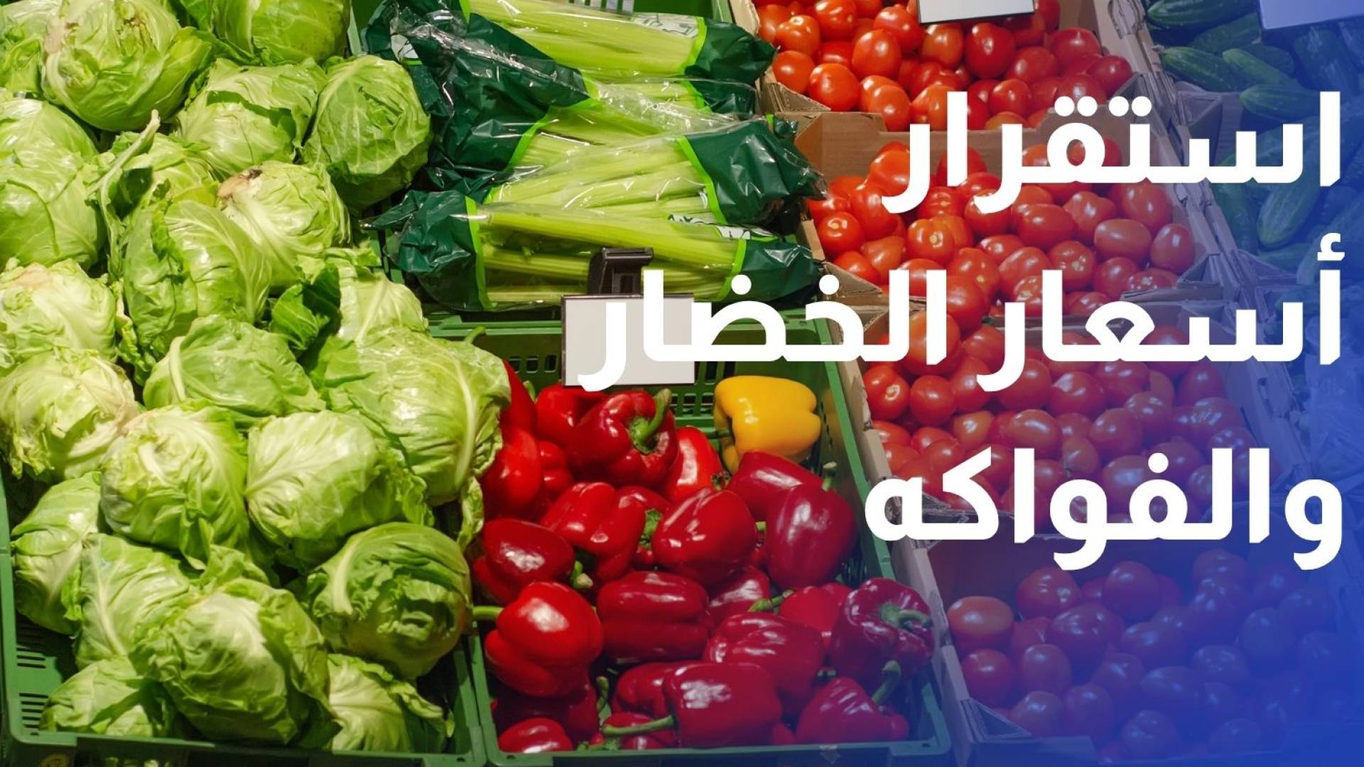 استقرار أسعار الخضار والفواكه مع ارتفاع المعروض باستثناء الليمون البلدي