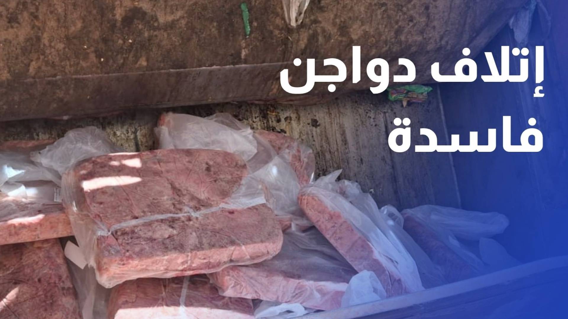ضبط وإتلاف 6 أطنان من لحوم الدواجن الفاسدة في أحد المشاغل المخالفة