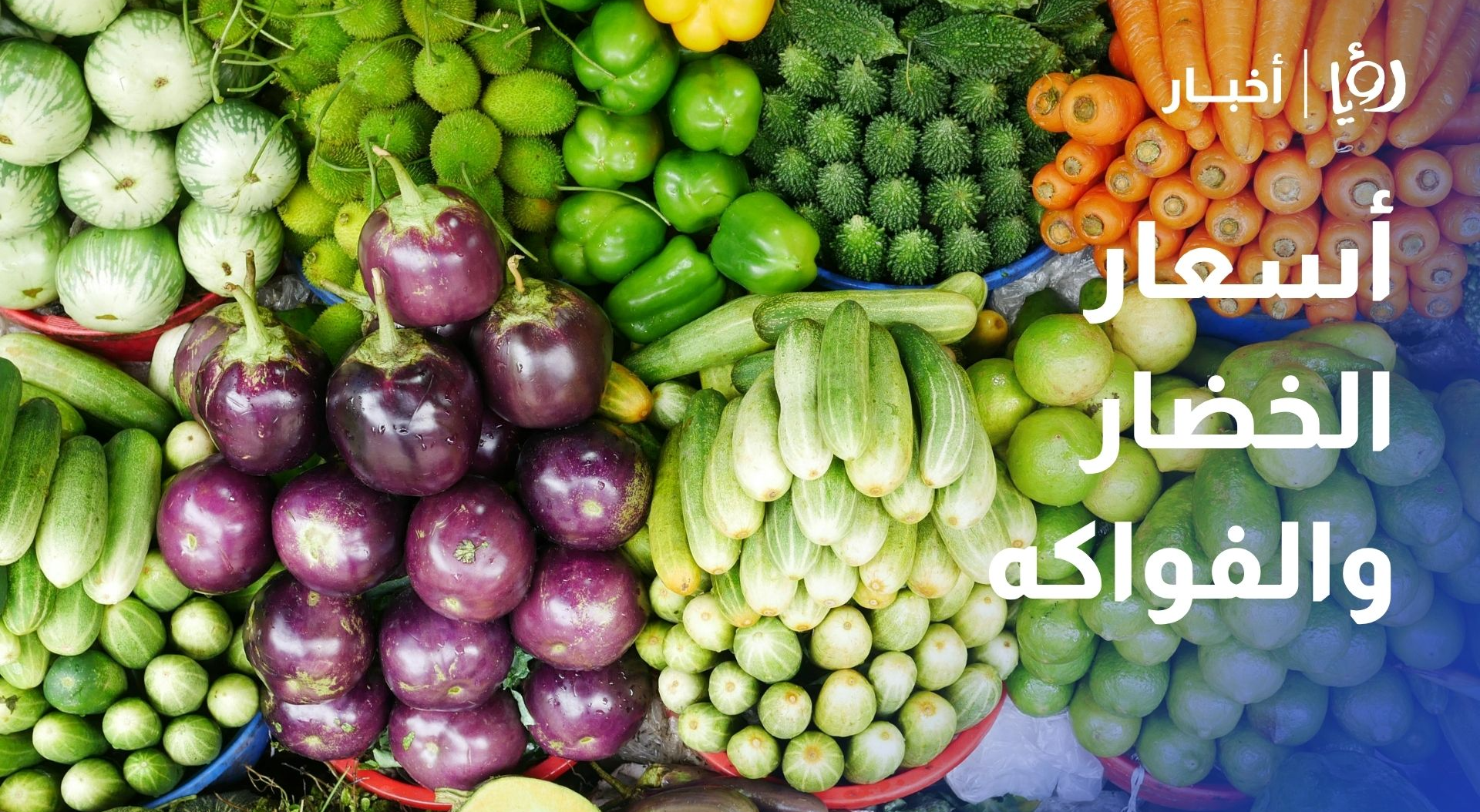 رصد أسعار الخضار والفواكه في سوق إربد المركزي