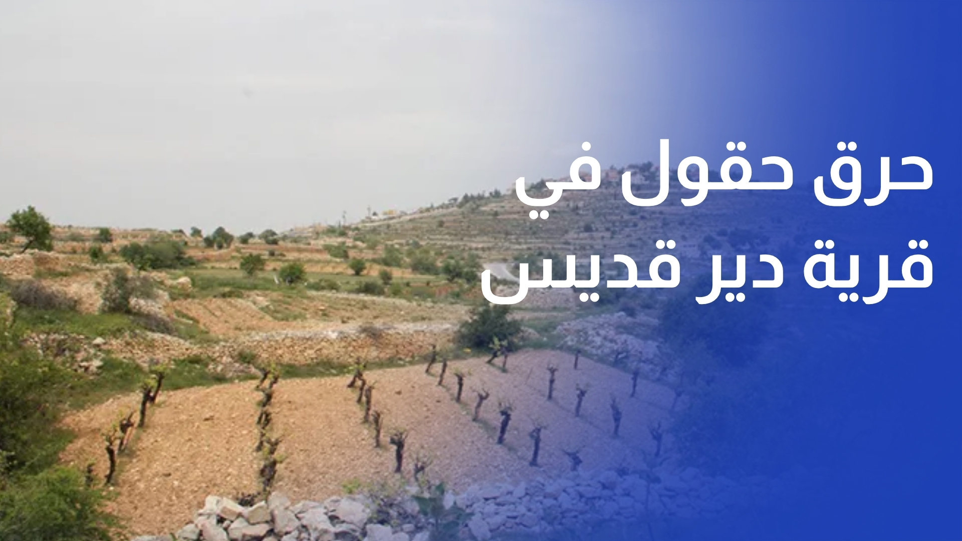الاحتلال يصادر أراضي الفلسطينيين ويحرق حقولهم في قرية دير قديس