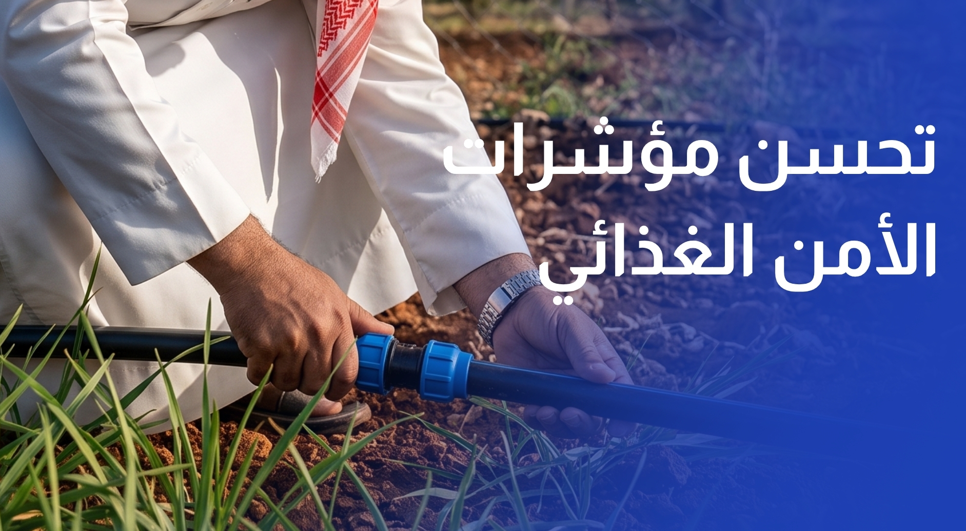تحسن مؤشرات الأمن الغذائي في الأردن وسط توصيات بدعم الإنتاج المحلي