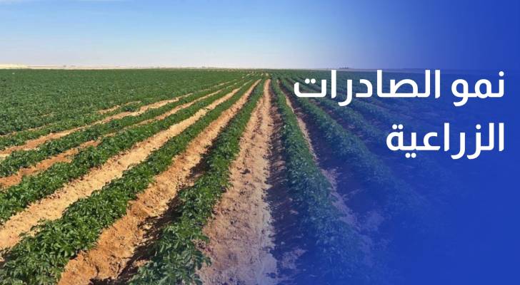 نمو الصادرات الزراعية بدعم من ارتفاع الخضار والفواكه 14% بنهاية حزيران