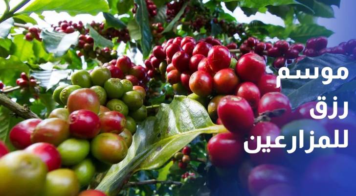 الزراعات الصيفية في سهل حوران.. موسم رزق للمزارعين وتنوع في المحاصيل