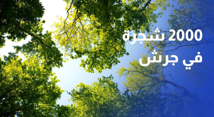شركات الاتصالات تطلق مبادرة لزراعة 2000 شجرة في جرش