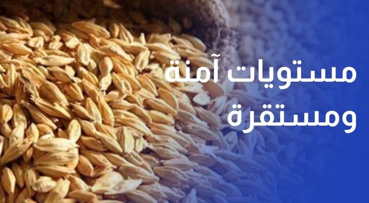 وزارة الصناعة مخزون القمح والشعير والسلع الأساسية في مستويات آمنة ومستقرة