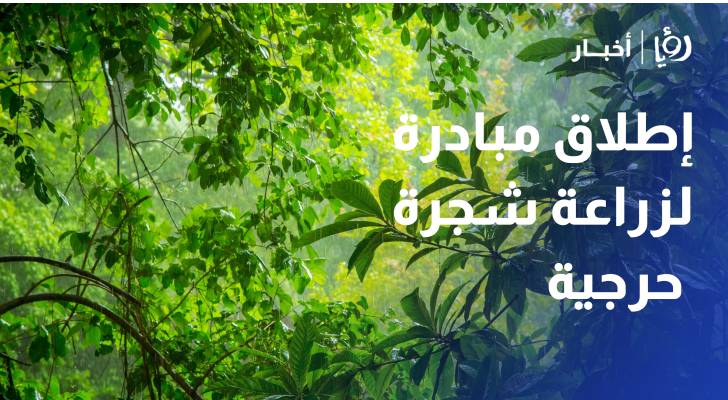 إطلاق مبادرة لزراعة 500 شجرة حرجية على طريق جامعة الحسين بن طلال