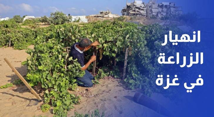 تحذير أممي من انهيار الزراعة في غزة .. 3% فقط من الأراضي صالحة للاستخدام