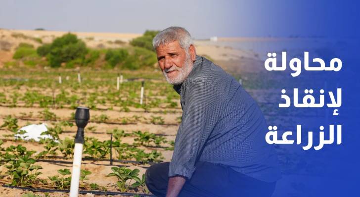 بنك بذور غزة .. محاولة لإنقاذ الزراعة من تحت أنقاض الحرب
