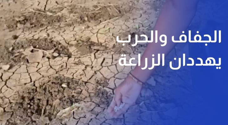 الجفاف والحرب يهددان الإنتاج الزراعي ويفاقمان أزمة الغذاء في السودان