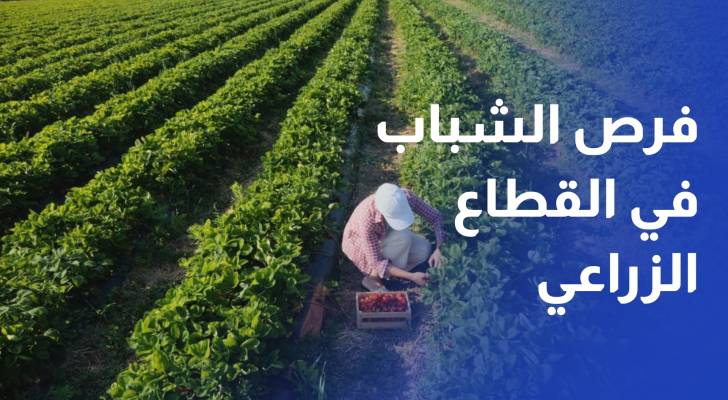 مشروع أرضي.. تدريب مهني يعزز فرص الشباب في القطاع الزراعي