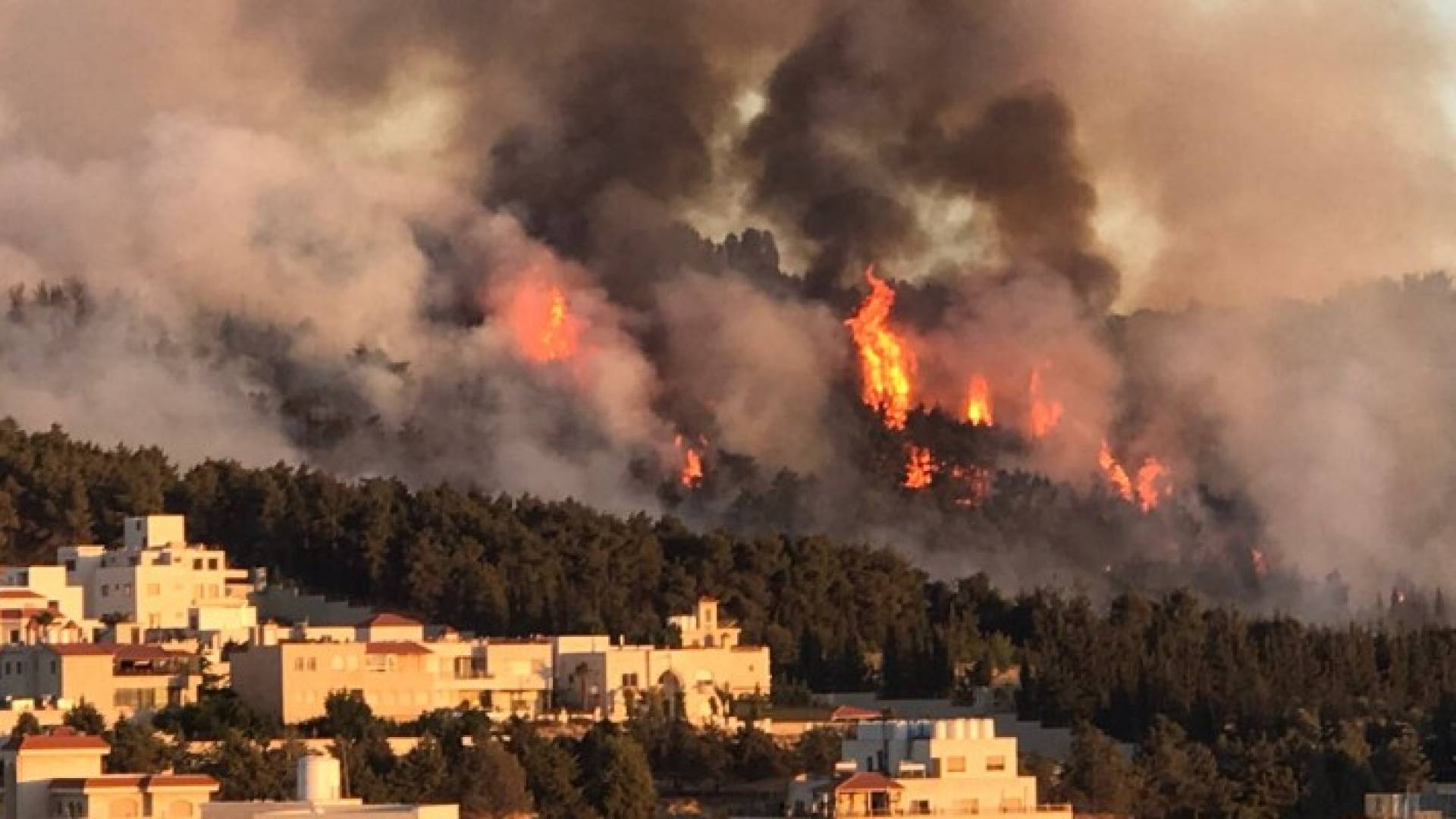 Image 1 from gallery