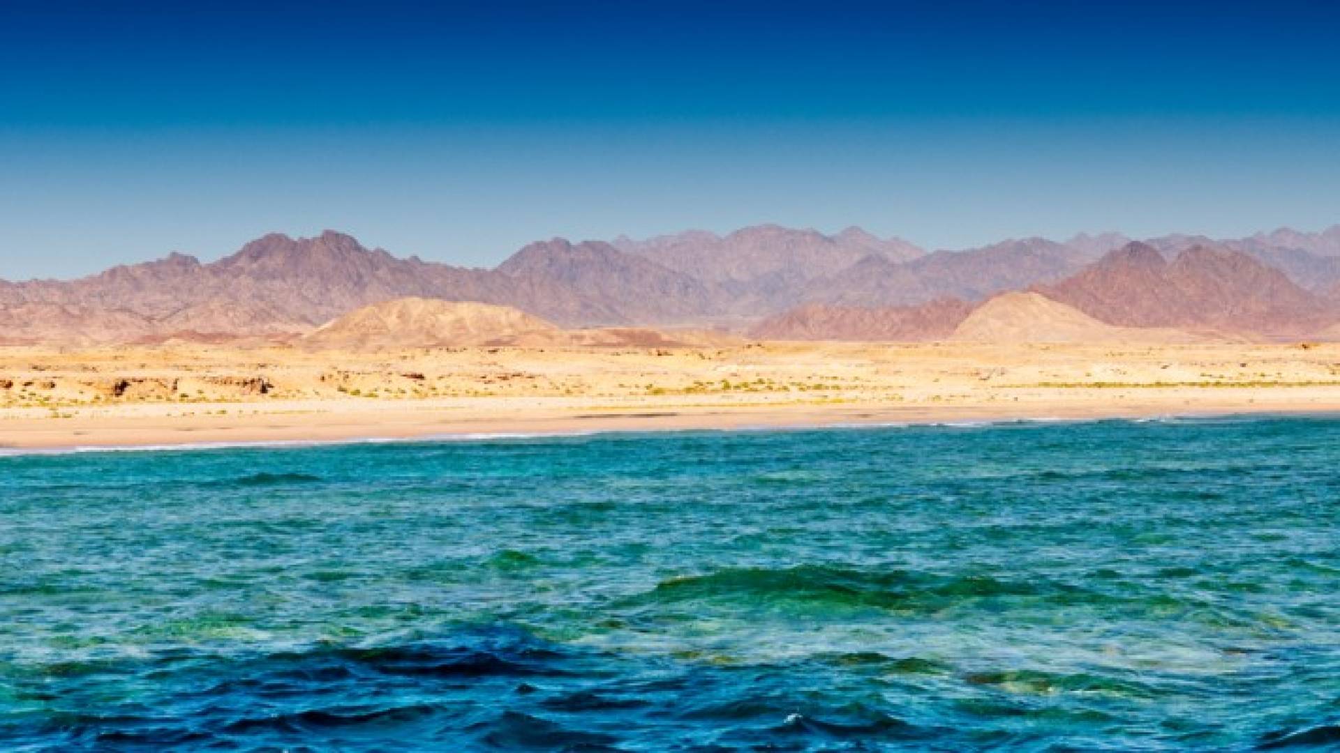 Image 1 from gallery