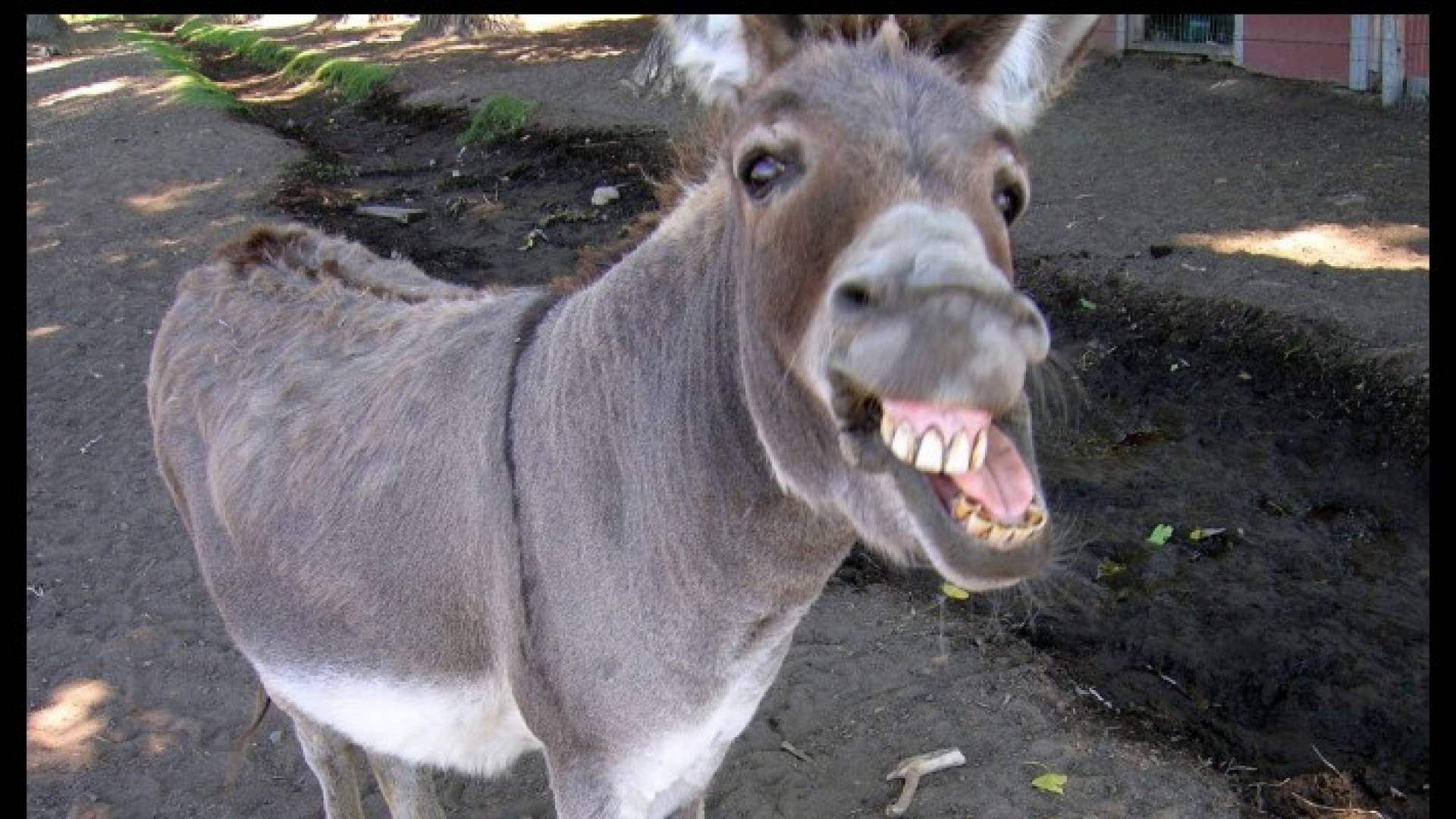 Image 1 from gallery