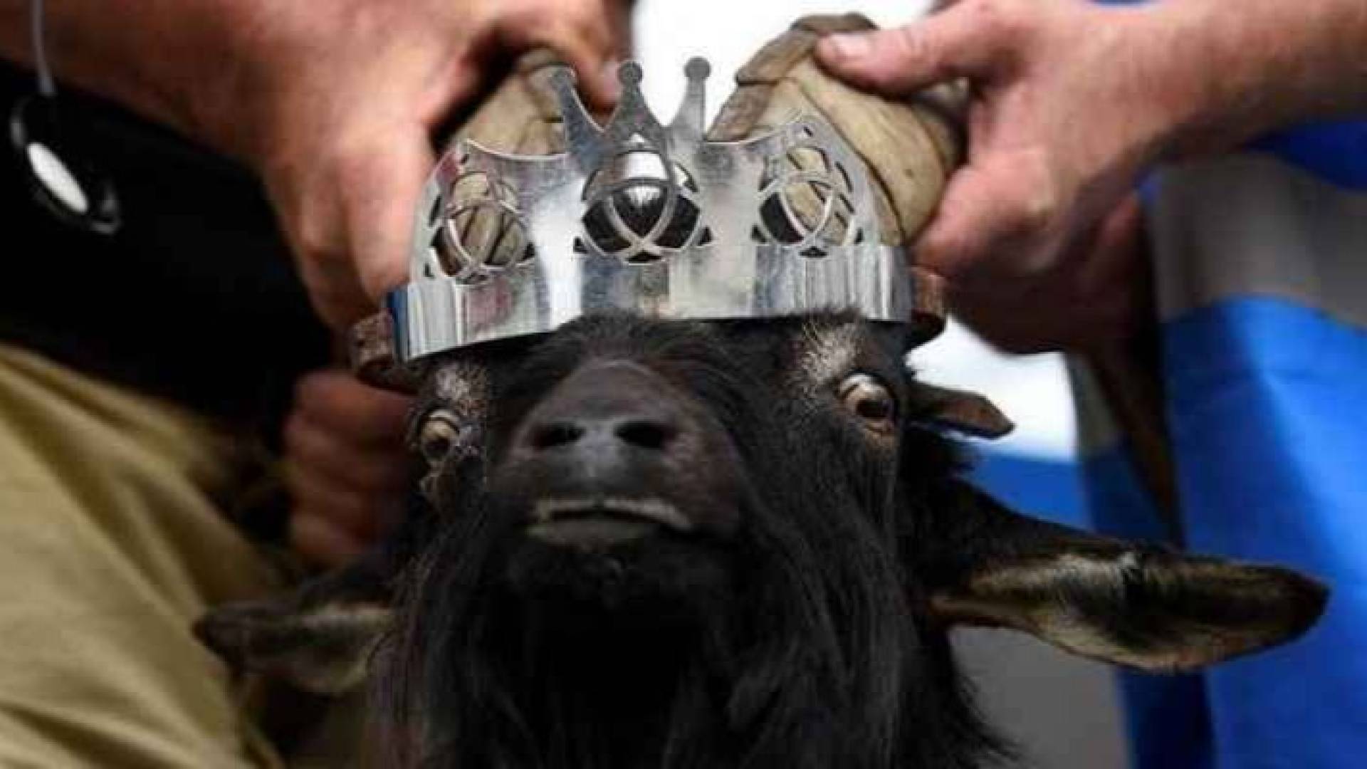 Image 1 from gallery