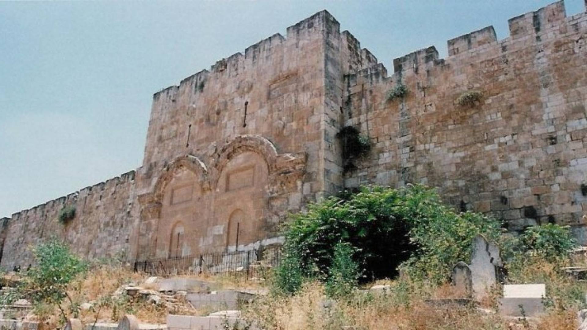 Image 1 from gallery