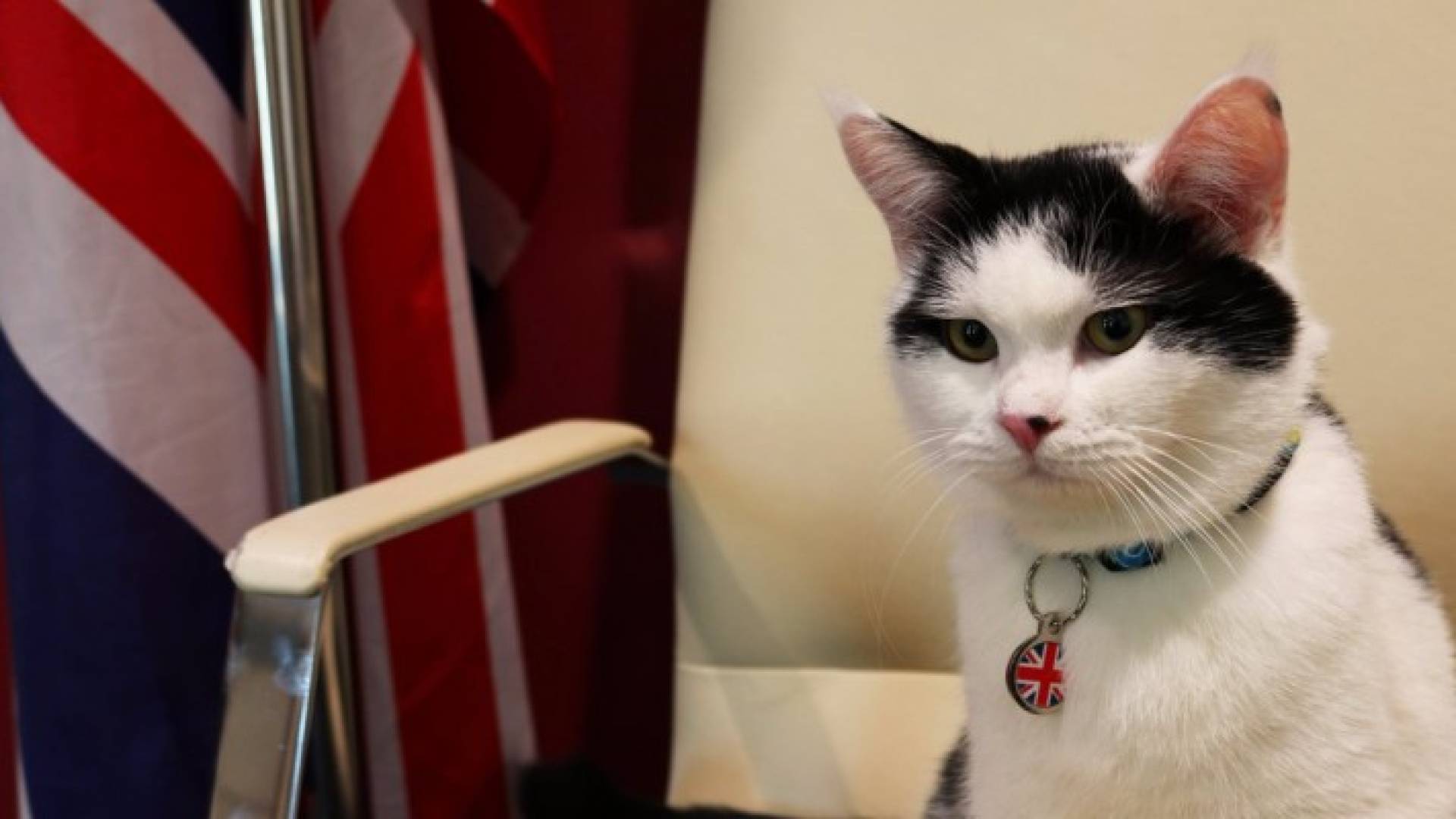 Image 1 from gallery