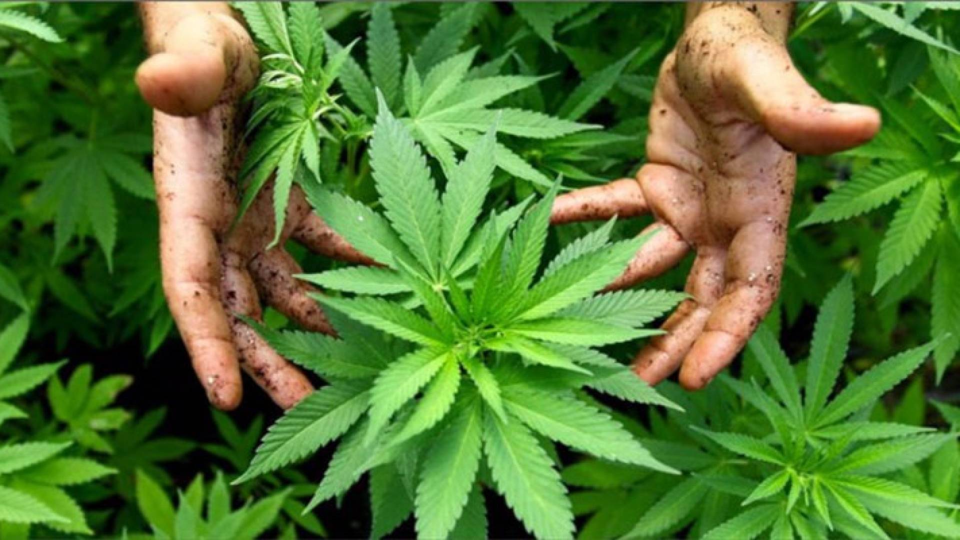 Image 1 from gallery