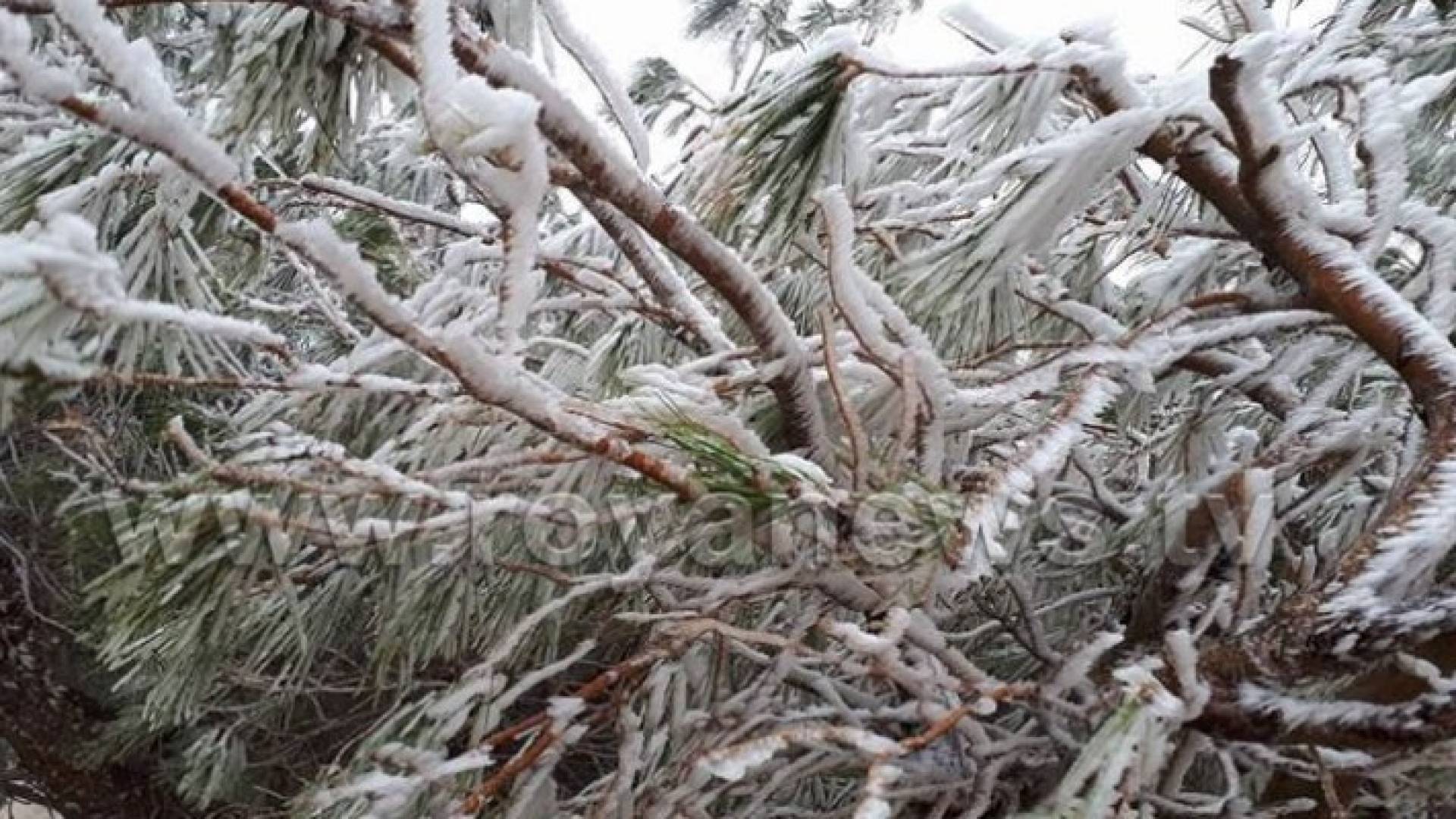 Image 1 from gallery