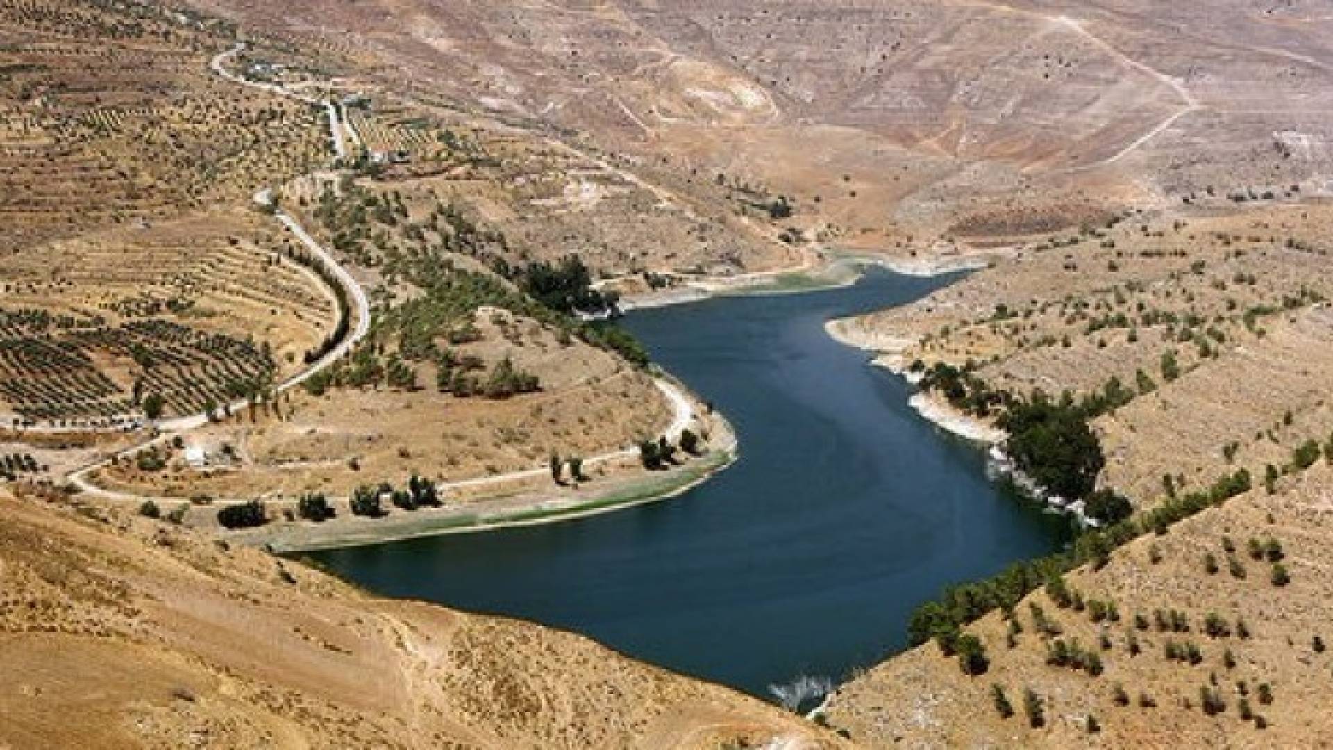 Image 1 from gallery