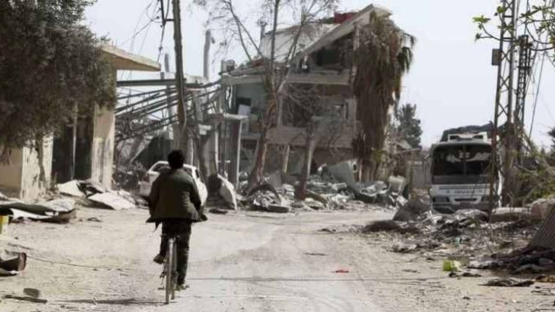 Image 1 from gallery