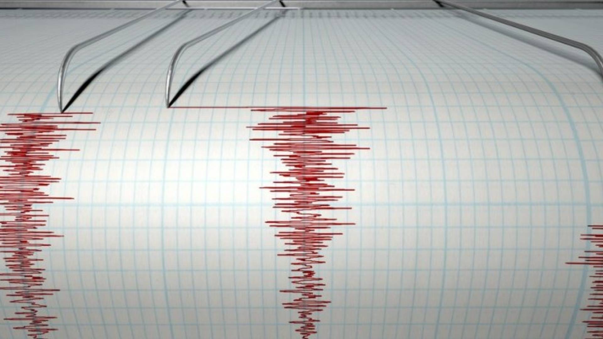 Image 1 from gallery