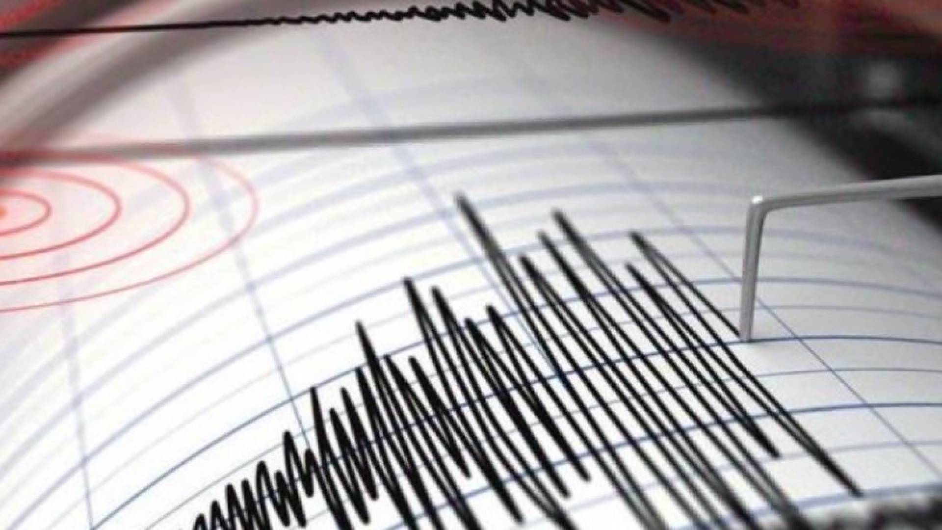 Image 1 from gallery