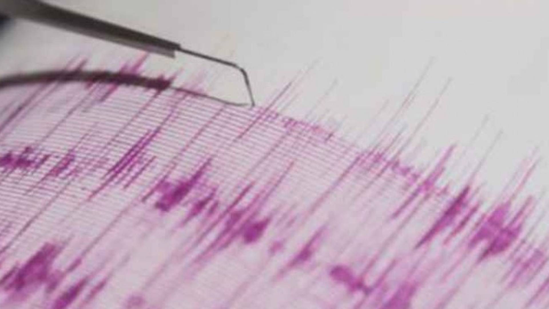 Image 1 from gallery