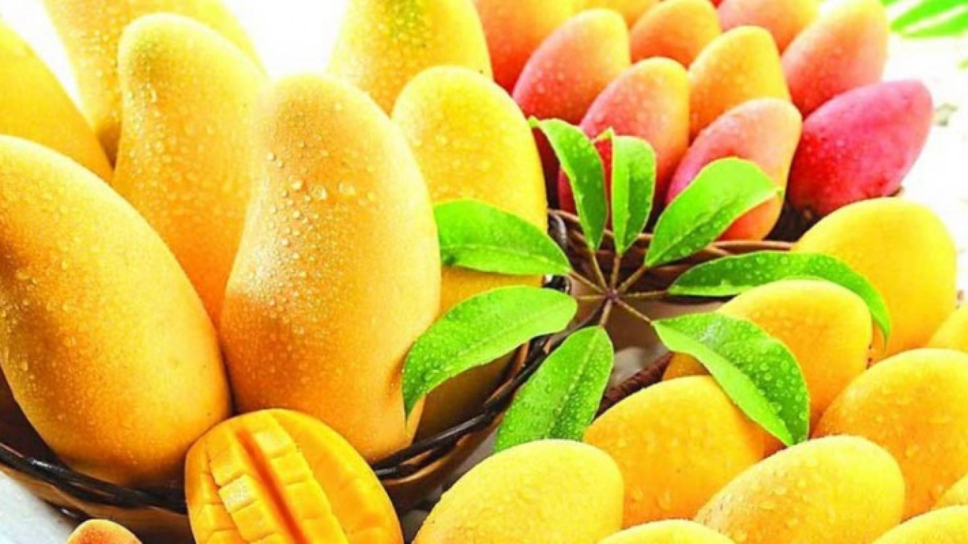 Image 1 from gallery