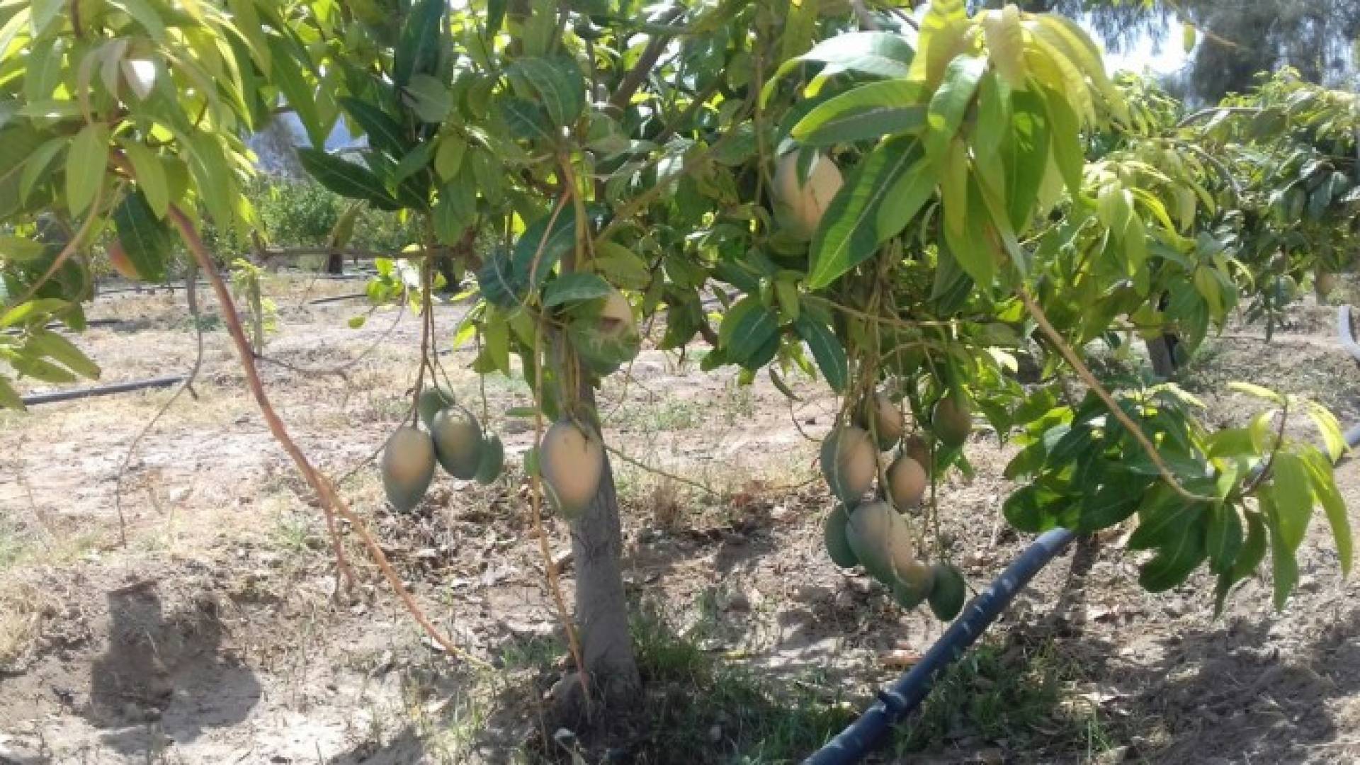 Image 1 from gallery