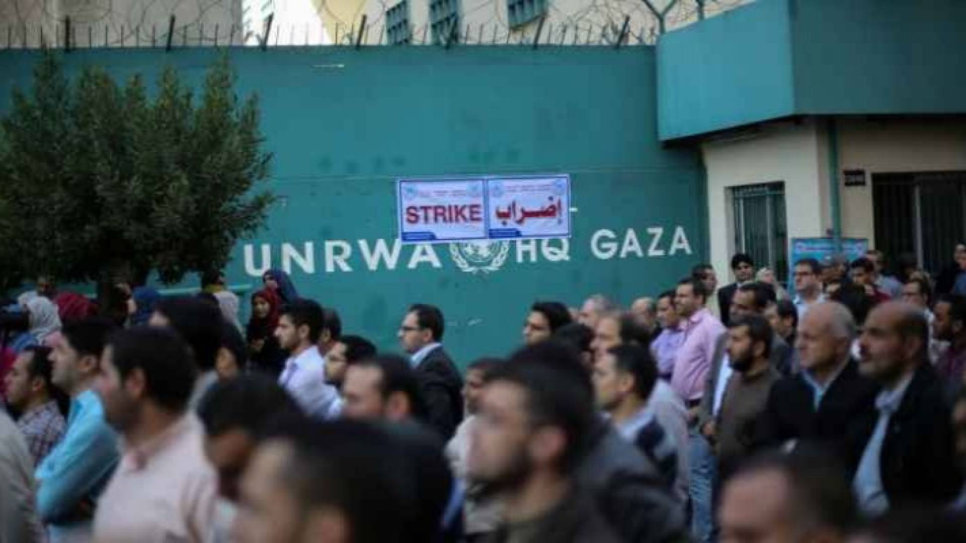 Image 1 from gallery