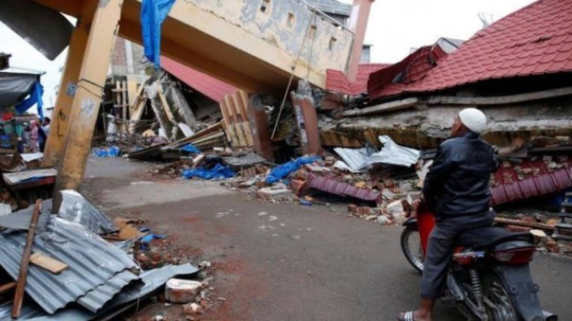 Image 1 from gallery