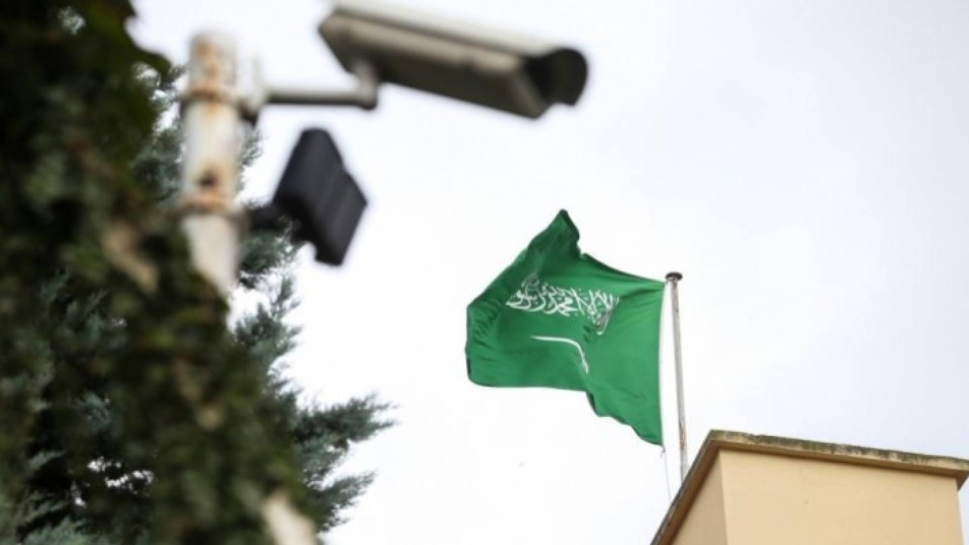 Image 1 from gallery