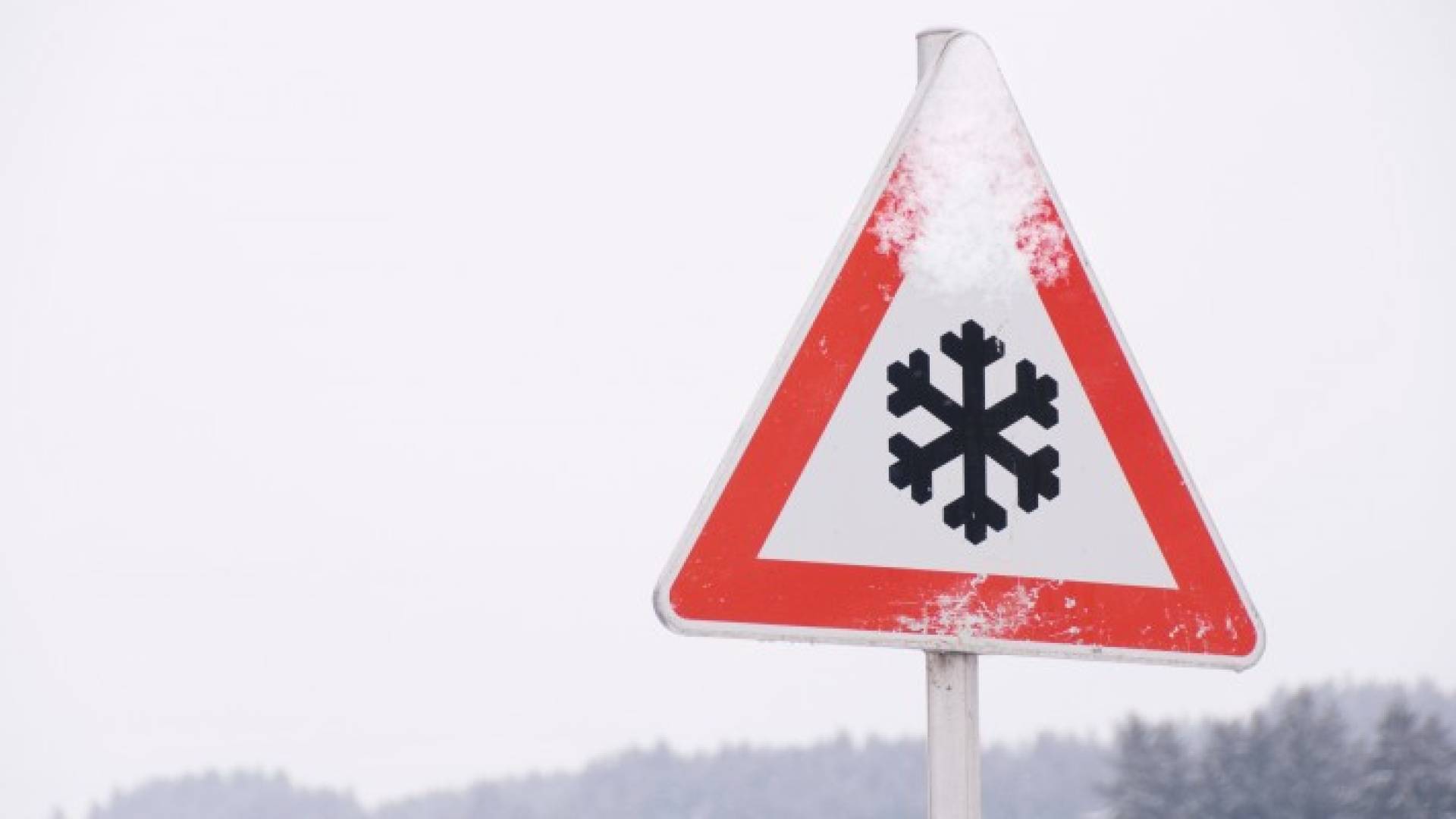 Image 1 from gallery