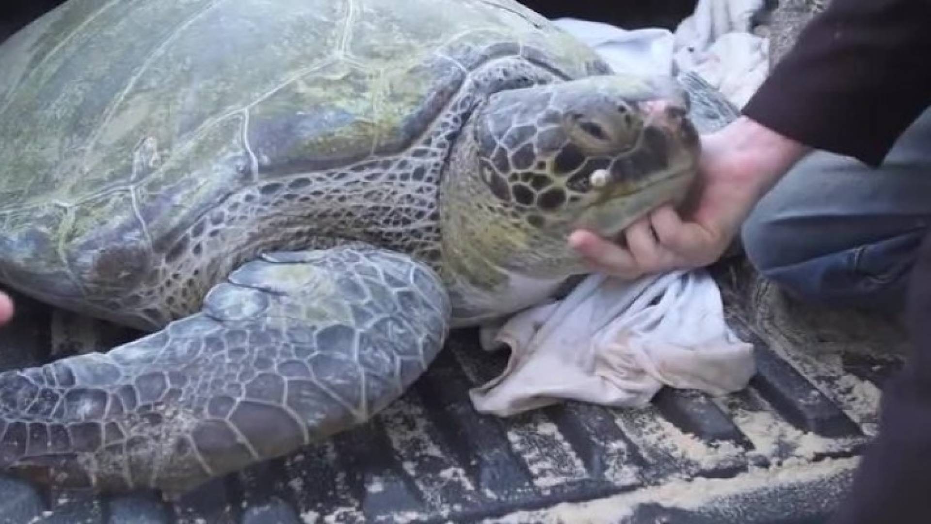 Image 1 from gallery