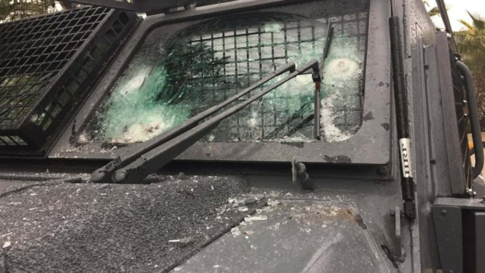 Image 1 from gallery