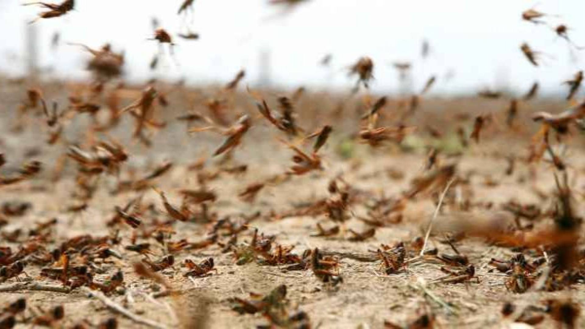 Image 1 from gallery