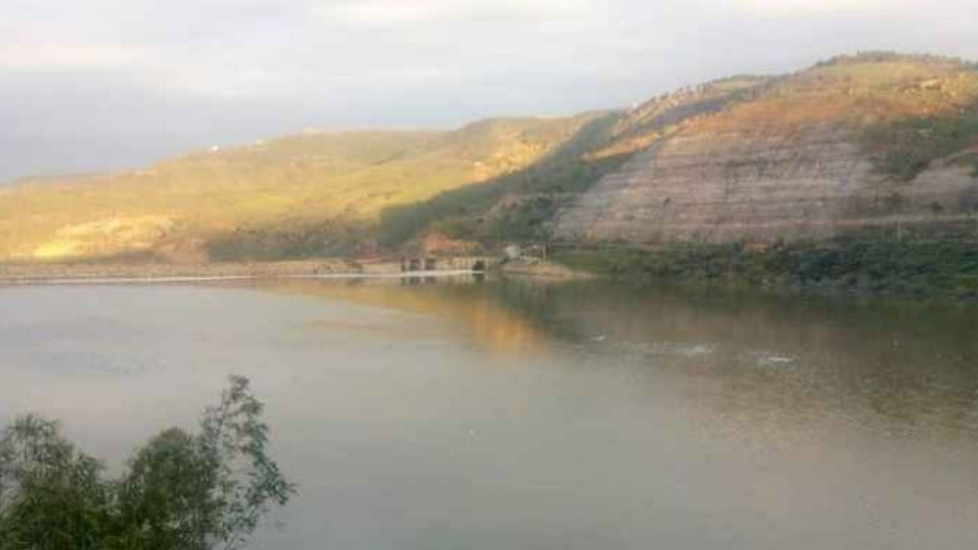 Image 1 from gallery