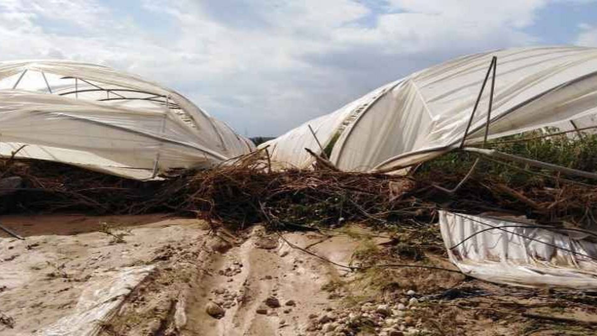 Image 1 from gallery