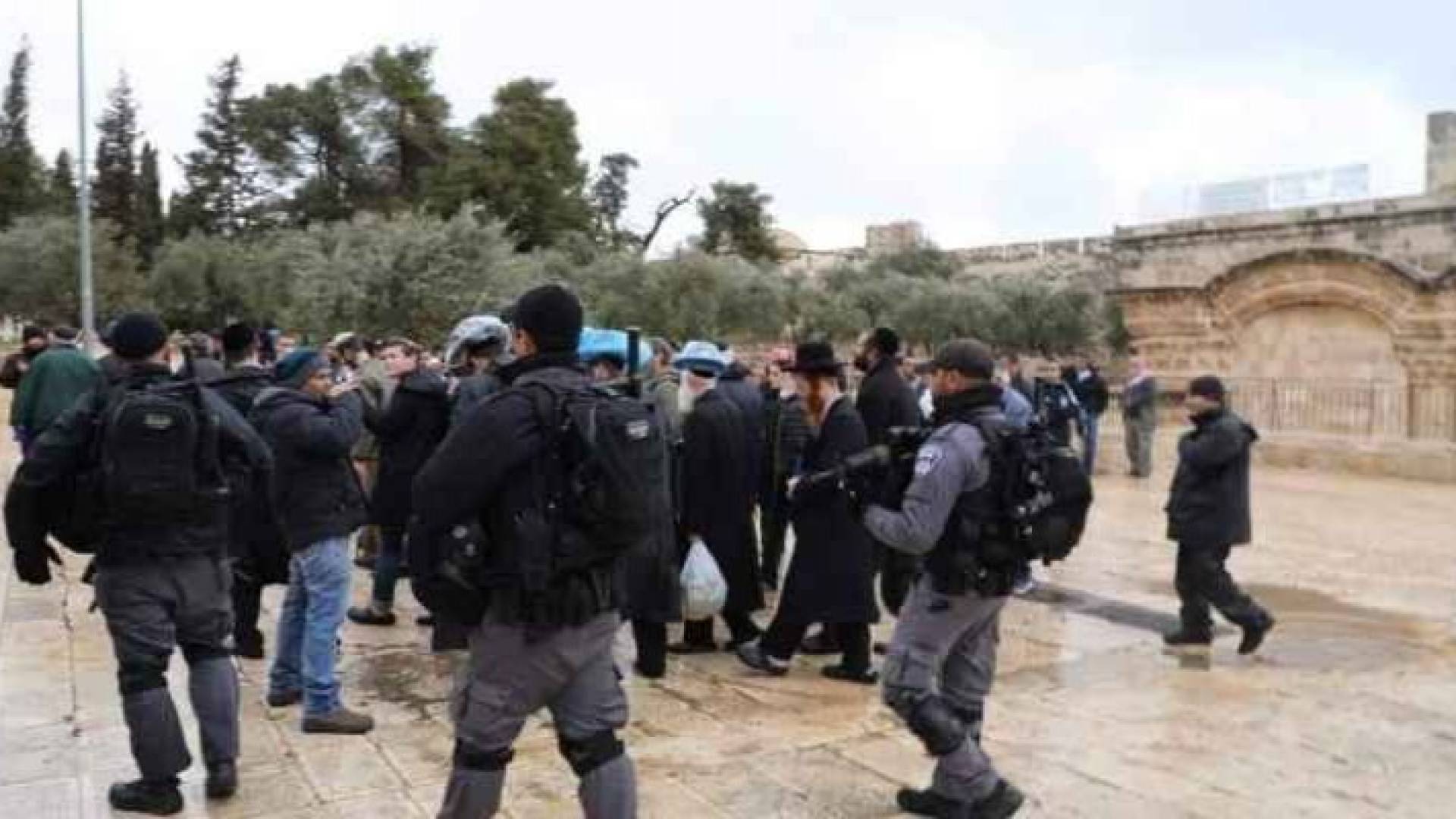 Image 1 from gallery