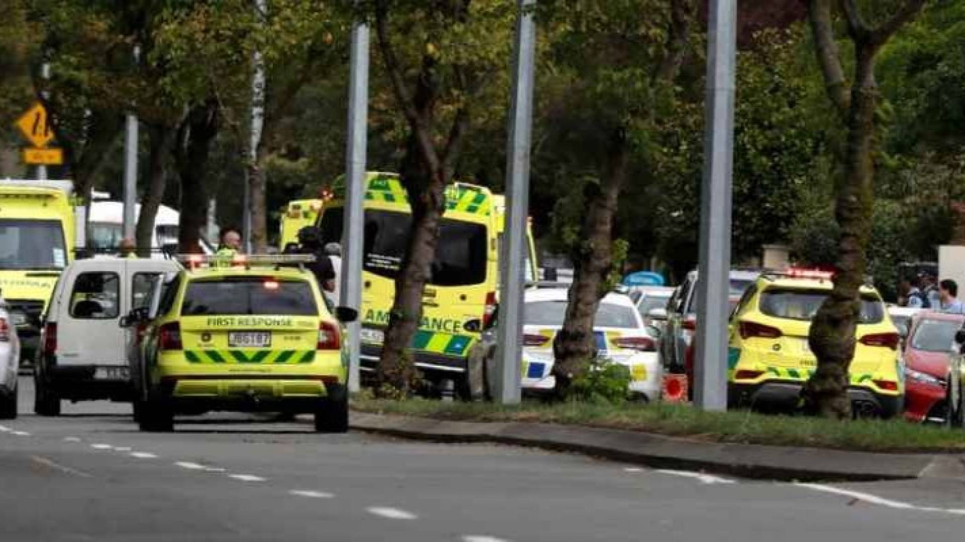 Image 1 from gallery