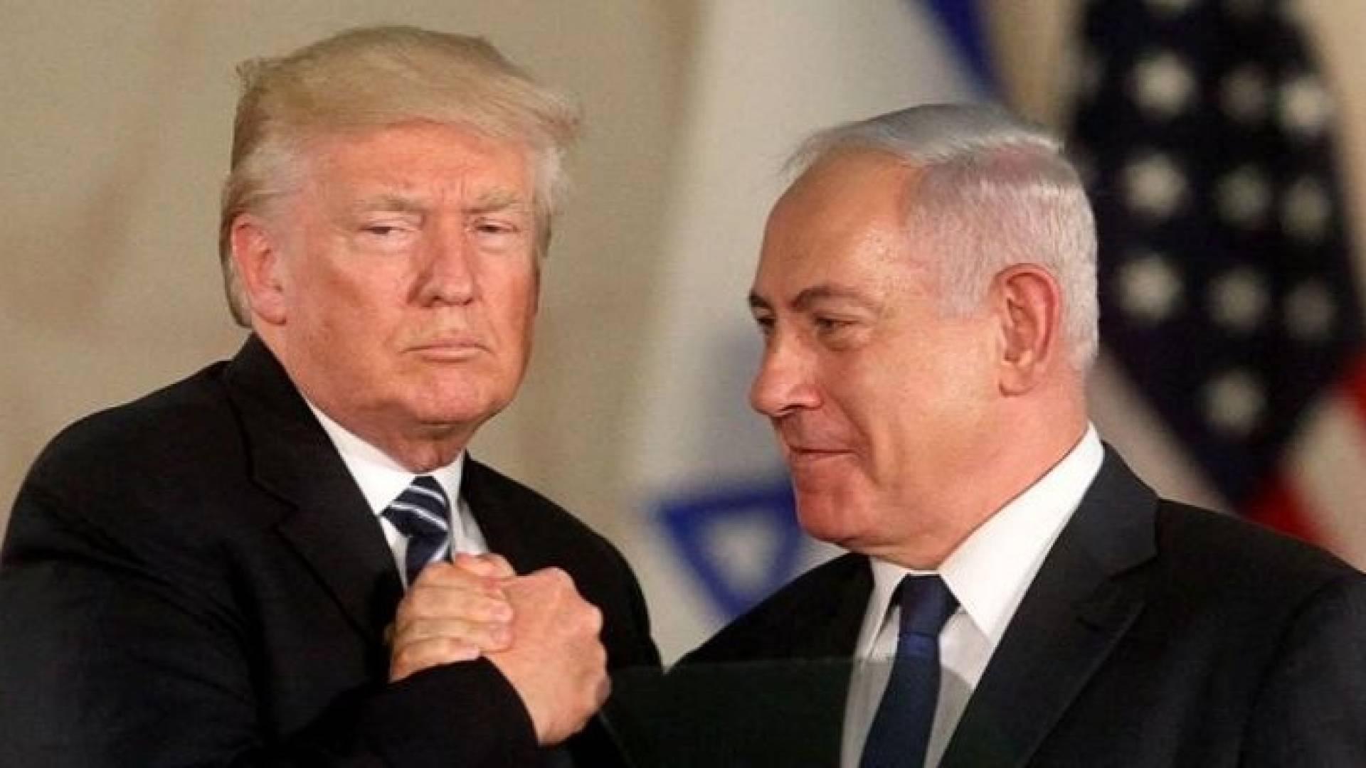 Image 1 from gallery